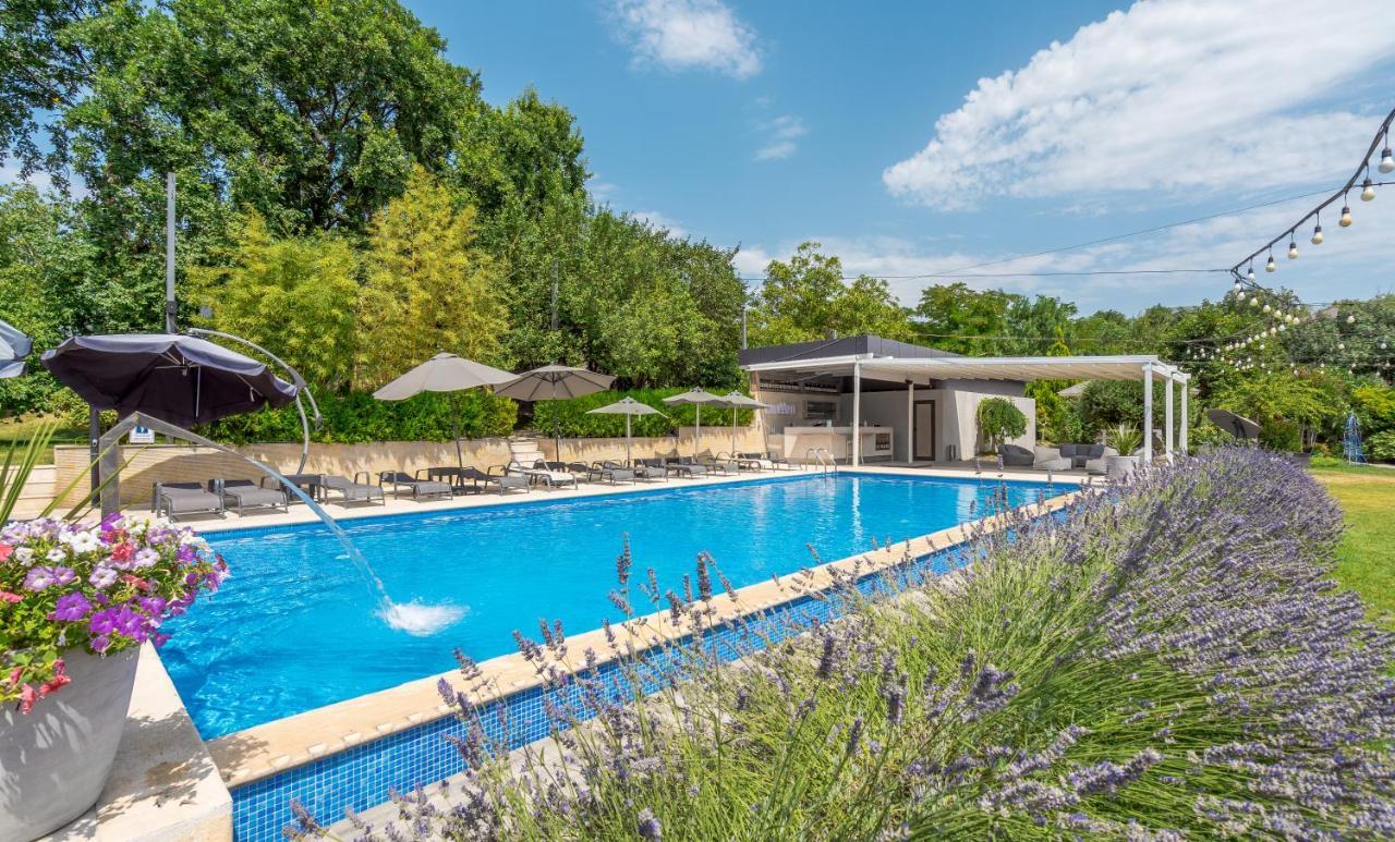 Giuaani Winery Hotel Manavi Kültér fotó