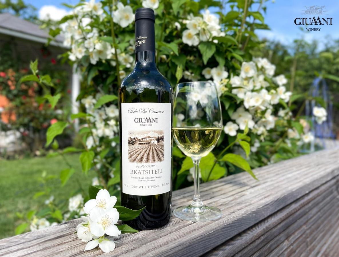 Giuaani Winery Hotel Manavi Kültér fotó